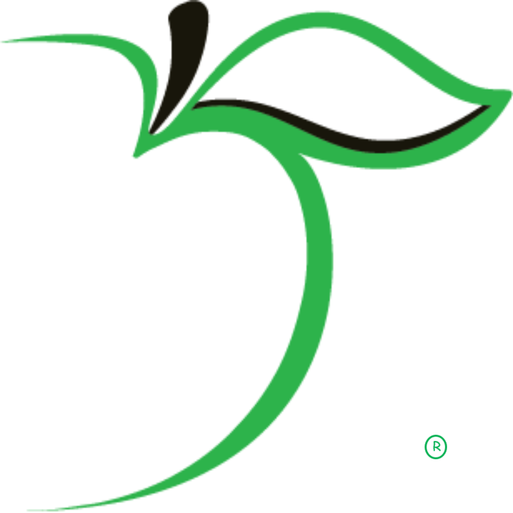 Apple For The Teacher